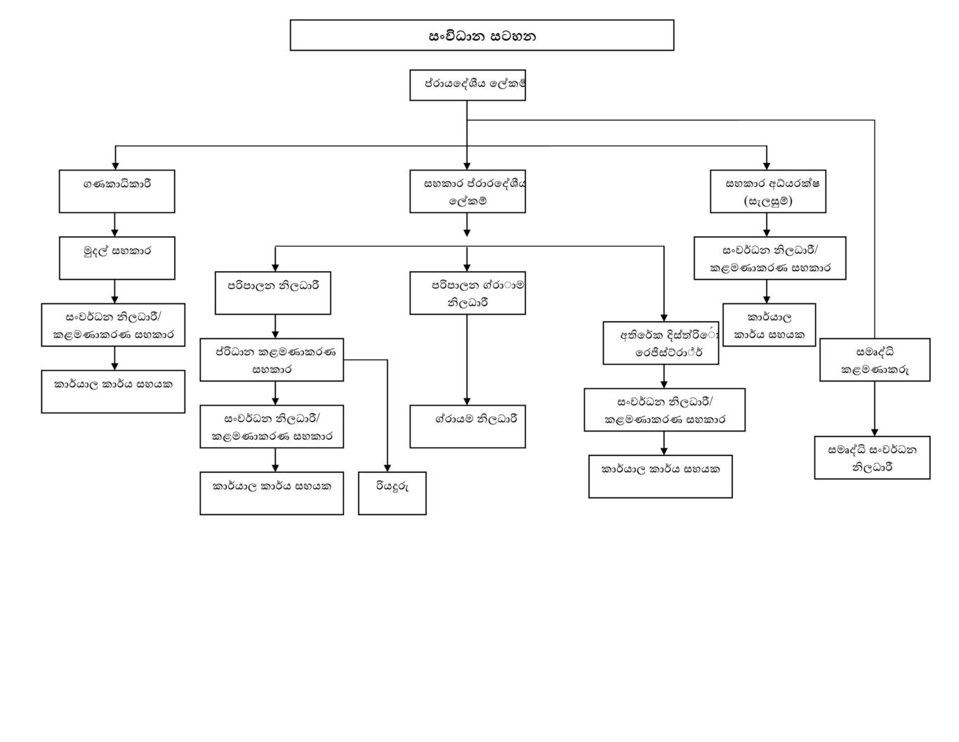 Organization Chart 
